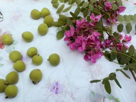 唐代音乐家的故事