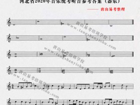 唐山易考:河北省2020年音乐统考答案公布(器乐)