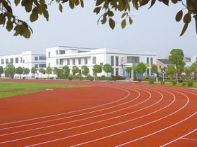 艺术类院校和综合类院校谁的艺术类专业更好一点?他们的优劣势是什么?