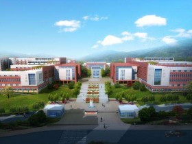 艺术生选艺术类院校还是综合性大学?