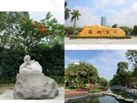 广州星海音乐学院:怎么录取的?