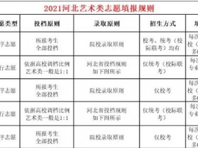 2021年河北省艺术类志愿填报规则是怎样的?