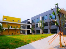 分校是什么?如何形成的?