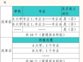 2021志愿专栏——如何理解“专业(类)+学校”志愿模式变化?