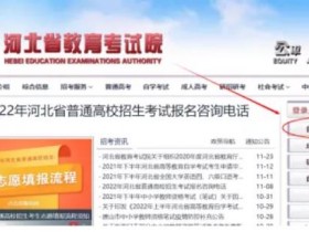 报考证及考生号如何获取?