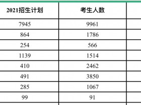 2021年艺术类专科录取率