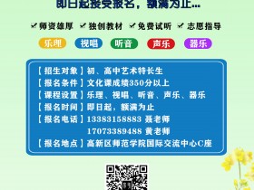 音乐艺考攻略——2024音乐艺考改革全知道!